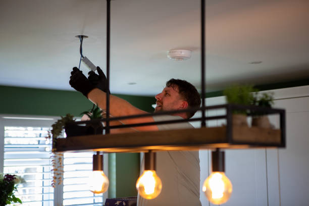 Best Electric Panel Repair  in Harper Woods, MI